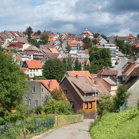 Ferienwohnung Wiesenblick Mit Terrasse Im Landhaus Fischer Sankt Andreasberg Exterior photo