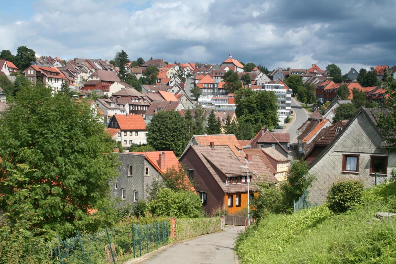 Ferienwohnung Wiesenblick Mit Terrasse Im Landhaus Fischer Sankt Andreasberg Exterior photo